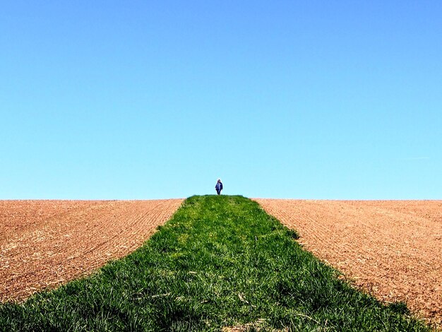 Foto donna che cammina su un campo agricolo contro un cielo blu limpido