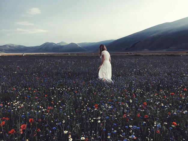 空の向こうの山の近くの畑でく植物の中を歩く女性