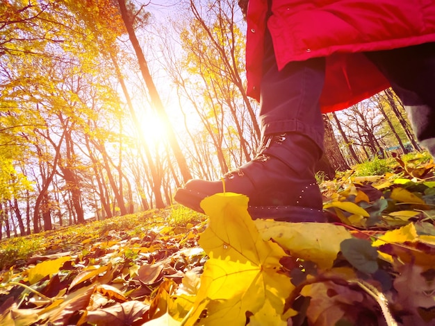 Donna che cammina nella sosta di autunno che dà dei calci alle foglie secche