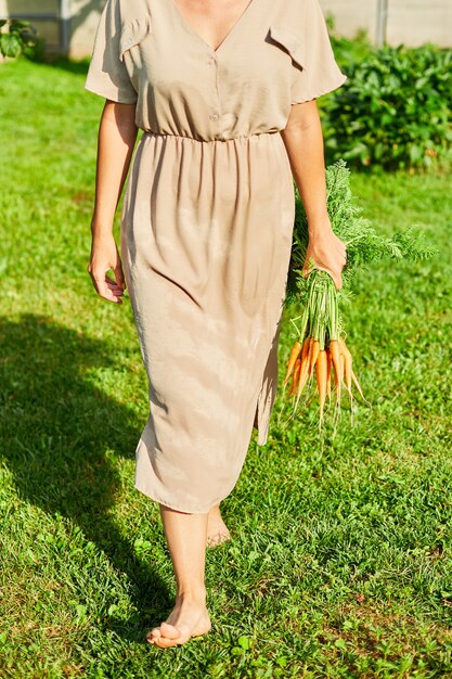 Woman walking barefoot on grass and holding in hand branch of raw organic carrots