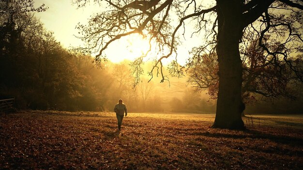 Woman walking on field during sunset