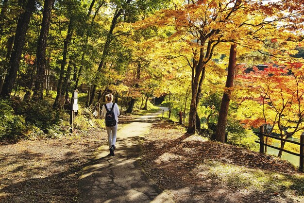 日本のモミジ時代の森の歩道を歩く女性