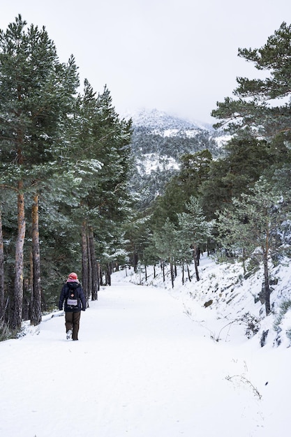 Donna che cammina sulla montagna innevata