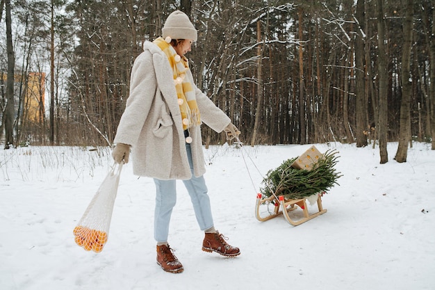 눈 덮인 겨울 숲을 걷고 있는 여자가 크리스마스 상품을 들고 썰매를 끌고 있습니다. 전나무, 현재 및 귤.