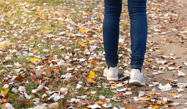秋のフィールドを歩く女性