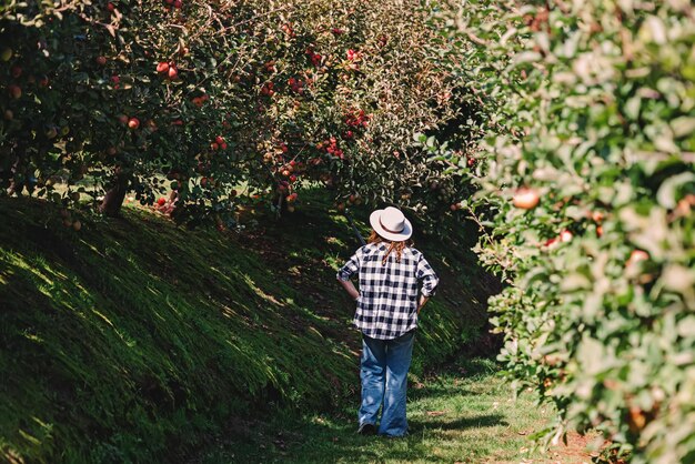 Woman walking through the rows of apple trees on the farm fall season