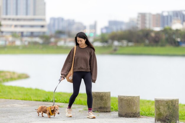 公園でダックフンドの犬と歩いている女性