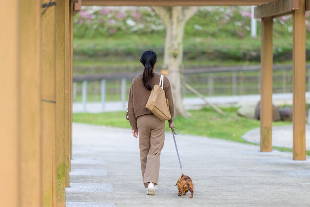 공원 에서 다크<unk>드 강아지 와 함께 산책 하는 여자