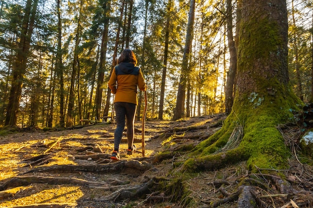 日没のある午後、森の中をトレッキングで黄色いジャケットを着て歩く女性