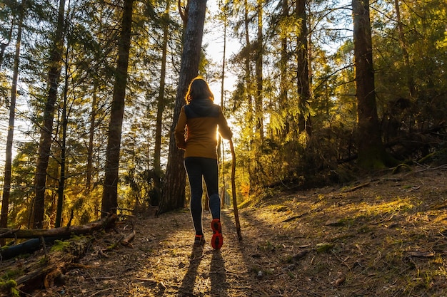 日没のある午後、森の中をトレッキングで黄色いジャケットを着て歩く女性