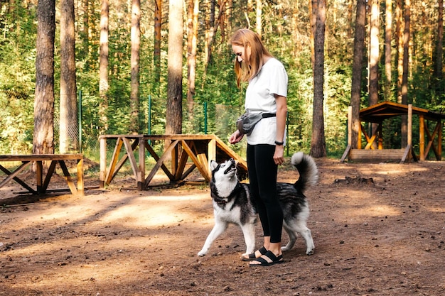 A woman walks a pet in a specially equipped place a Husky trains and plays with the hostess