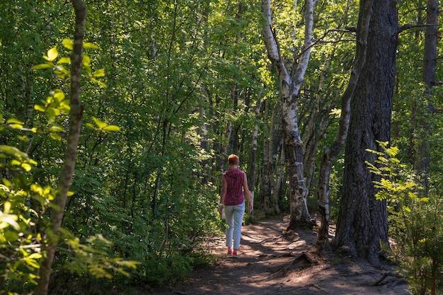 Woman walks through a birch tree forest along a narrow winding path at summer sunny day