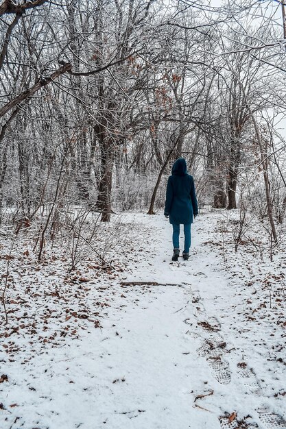 冬に雪に覆われた森を歩く女性