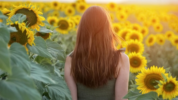 생생한 순간을 즐기는 해바라기 사이를 걷는 여성