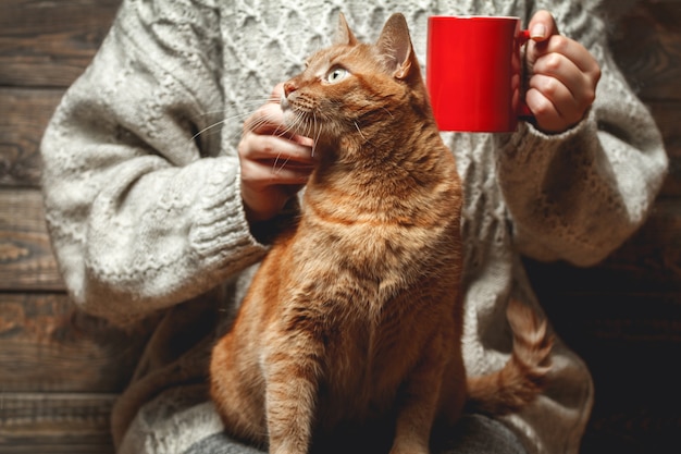 Woman in warm sweater drinking coffee with red cat