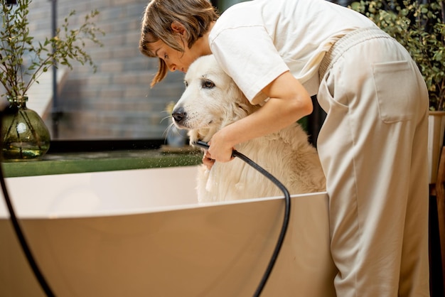 Woman washes her dog in bathtub at home