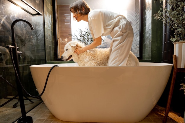 Woman washes her dog in bathtub at home