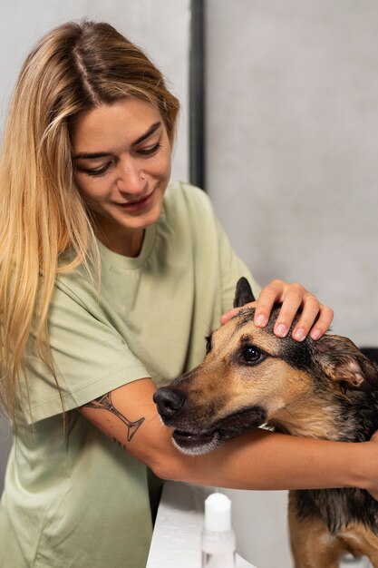 写真 犬を洗う女性 ミディアムショット