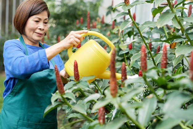 庭の茂みに水をまく女