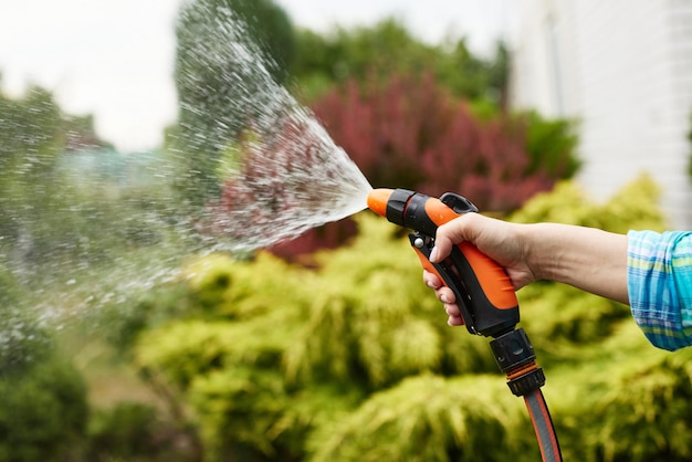 夏に庭で植物に水をまく女性