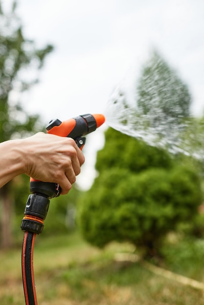 Woman watering plant in garden in summer