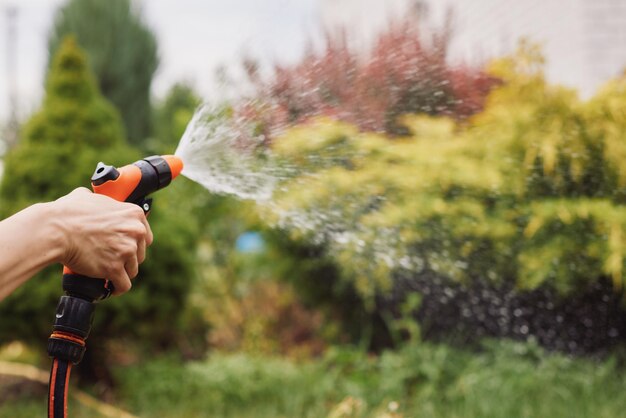 Woman watering plant in garden in summer