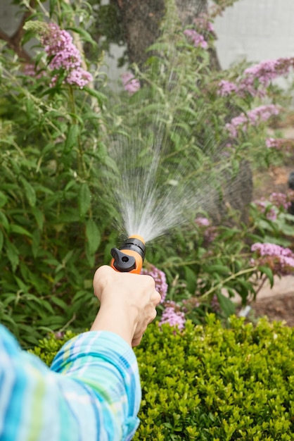 夏に庭で植物に水をまく女性