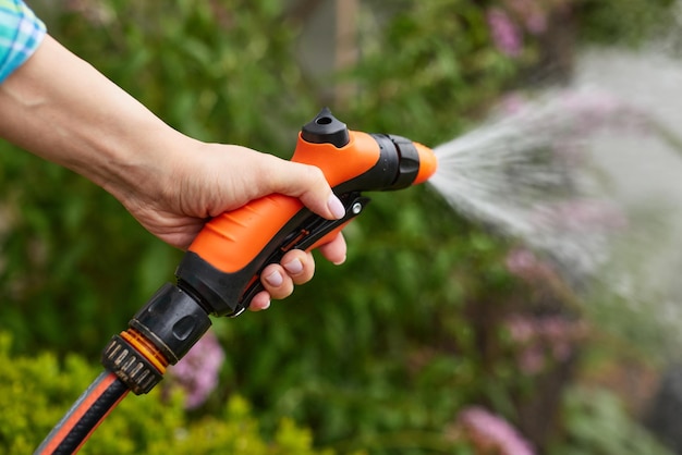 Woman watering plant in garden in summer