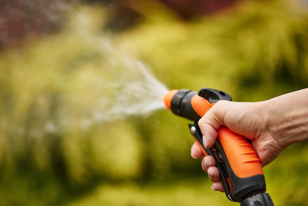 Woman watering plant in garden in summer