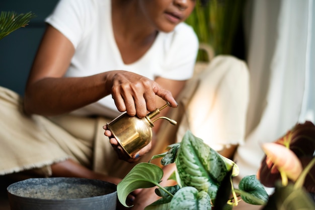 Woman watering a plant at home