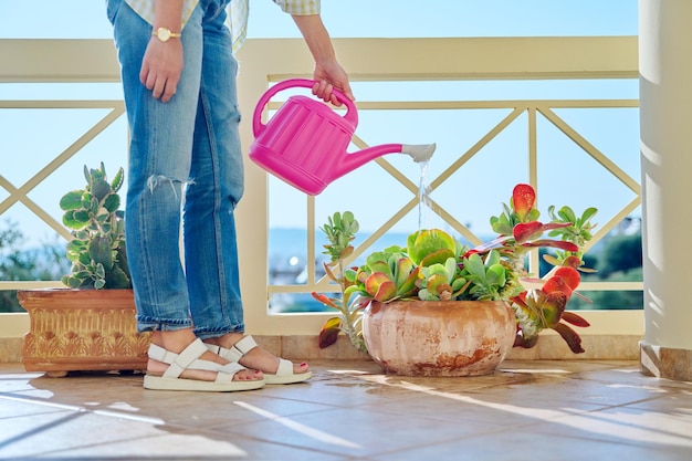 A woman watering a plant in a pot from a watering can