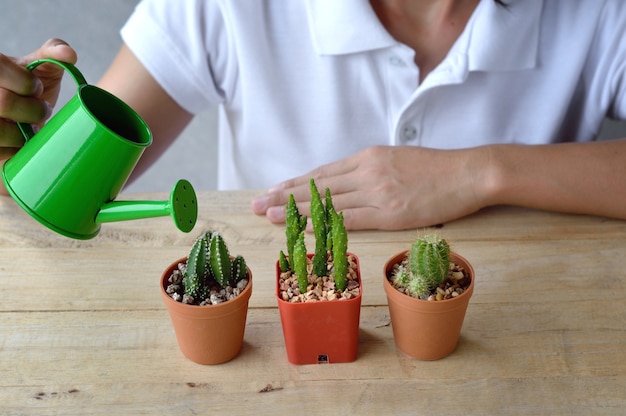 植物に水を吹く女性