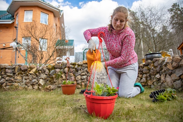 Woman watering potted flowers from a garden watering can in backyard of house in spring DIY concept