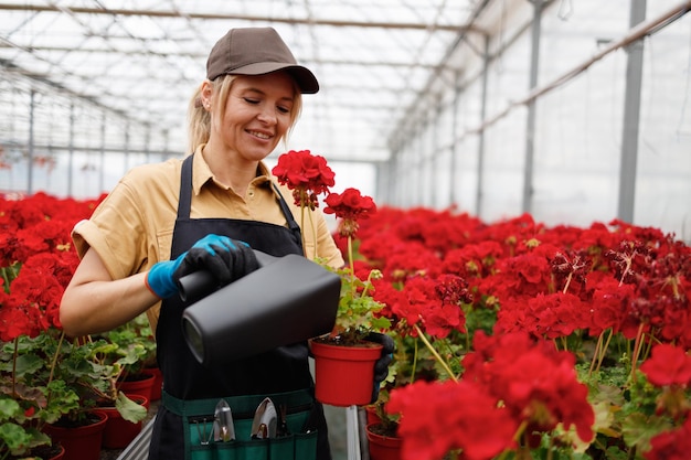 Woman watering potted plant in a greenhouse