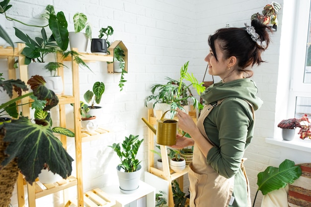 A woman waters home plants from her collection of rare species from a watering can grown with love on shelves in the interior of the house Home plant growing green house water balance