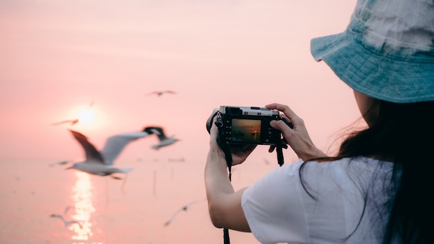 Woman wear hat use mirrorless camera taking seagull photo in sunset.