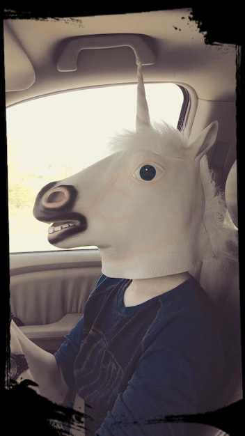 Woman wearing animal mask in car