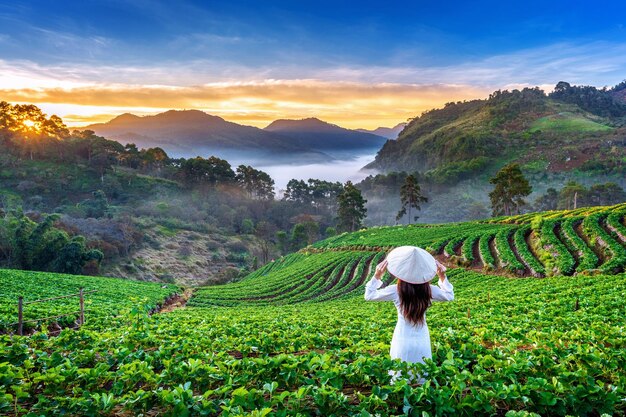 Photo woman wearing asian style conical hat while standing on agricultural field