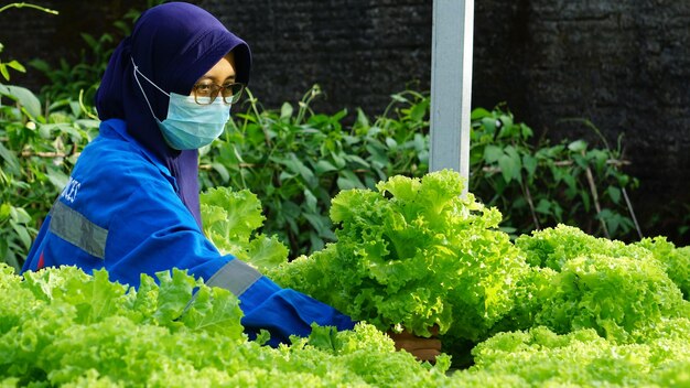 A woman wearing a face mask is working in a vegetable garden.