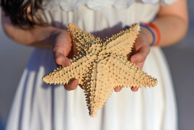 Woman in a white dress holds a starfish hands closeup