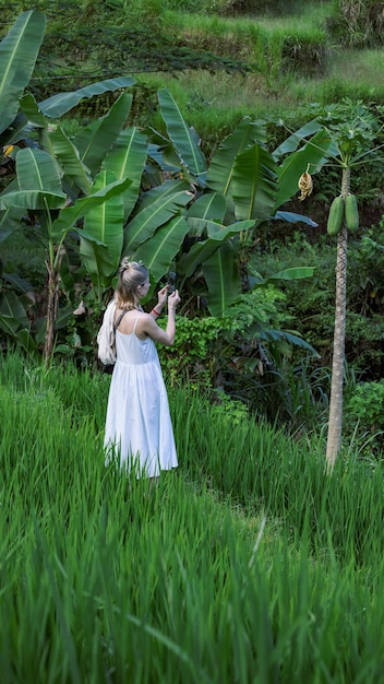 A woman in a white dress is taking a photo of a banana tree.