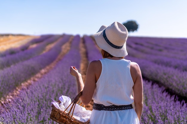 Una donna in abito bianco in un campo estivo di lavanda brihuega guadalajara