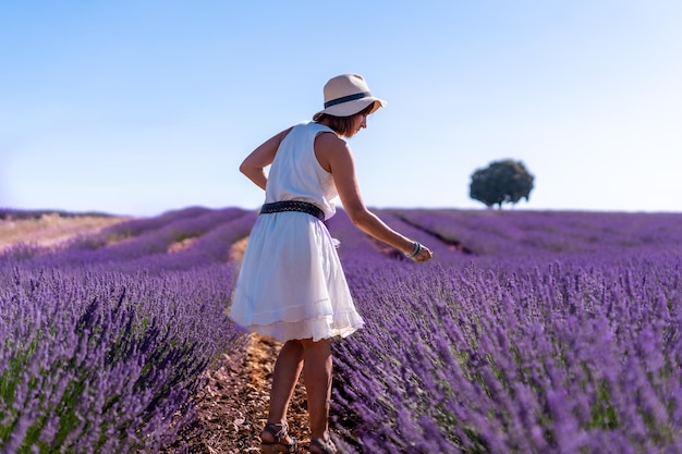 A woman in a white dress in a summer lavender field with a hat and basket collecting flowers