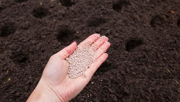 Photo a woman who uses fertilizers for planting soil in the soil for vegetable and floral gardens fertilizers and agricultural industry development economics and the concept of investment growth