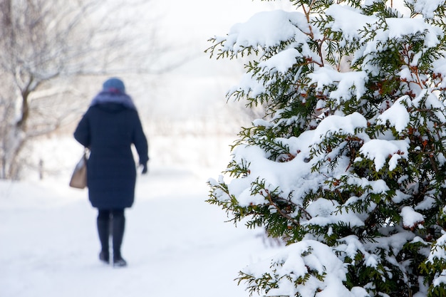 冬の女性は雪道を公園を歩く_