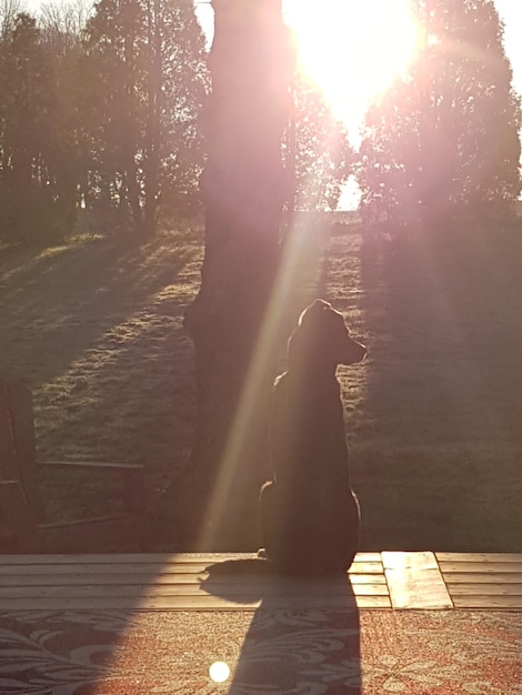 Foto donna con le braccia alzate al tramonto