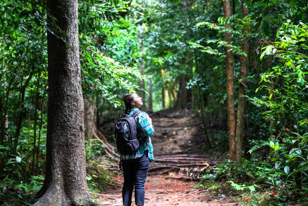 Donna con zaino che esplora la bellissima foresta pluviale su sub madue petchabun thailandia concetto di viaggio ed ecoturismo