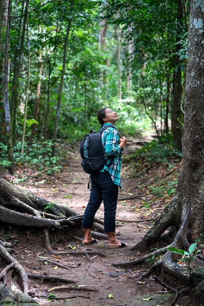 Woman with backpack exploring the beautiful rain forest on Sub madue Petchabun Thailand Travel and ecotourism concept