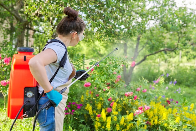 Woman with backpack garden spray gun under pressure handling\
bushes with blooming roses