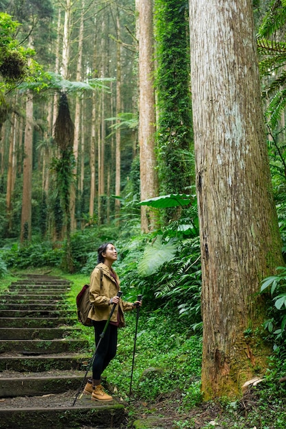 Woman with backpack and trekking poles hiking over the forest